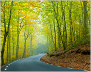 Dunlop Retreading Environmental Benefits